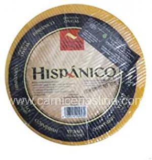 HISPÁNICO oveja viejo
